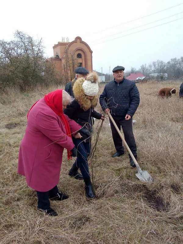 Висадка дерев в Брусилові